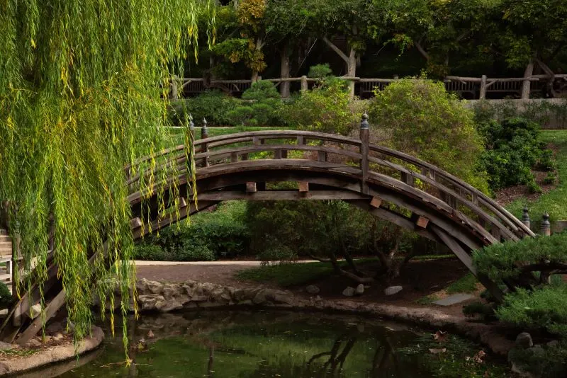 Durban North Japanese Gardens, South Africa