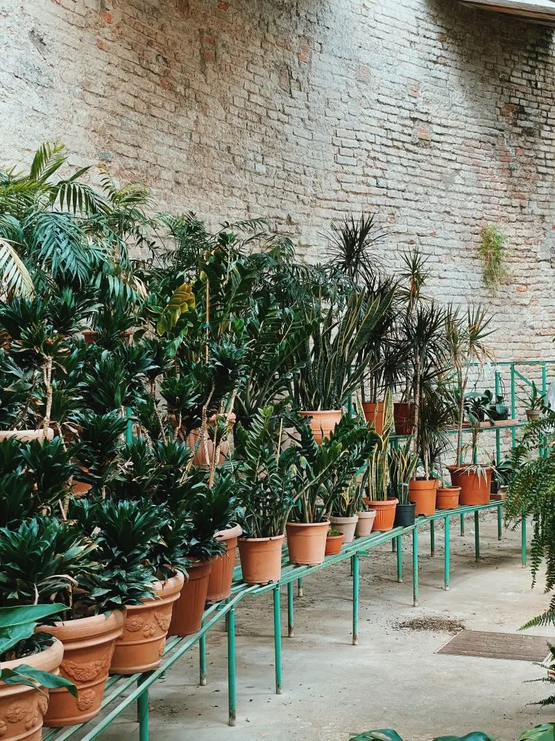 Giusti Gardens Verona, Italy