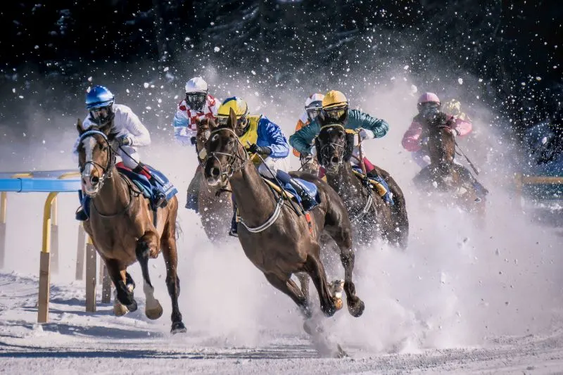 Horse Racing at Meydan Dubai, UAE