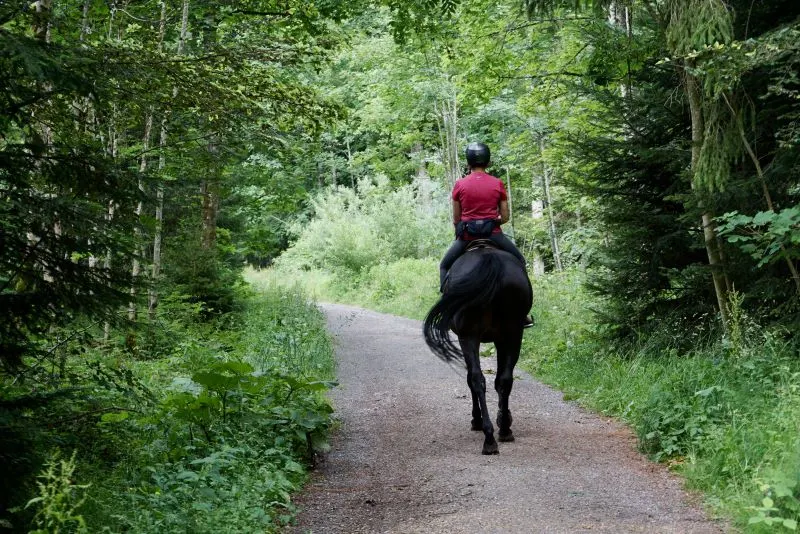 Horseback Riding Marmaris, Turkey