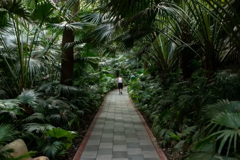Jin River East Greenway Chengdu, China