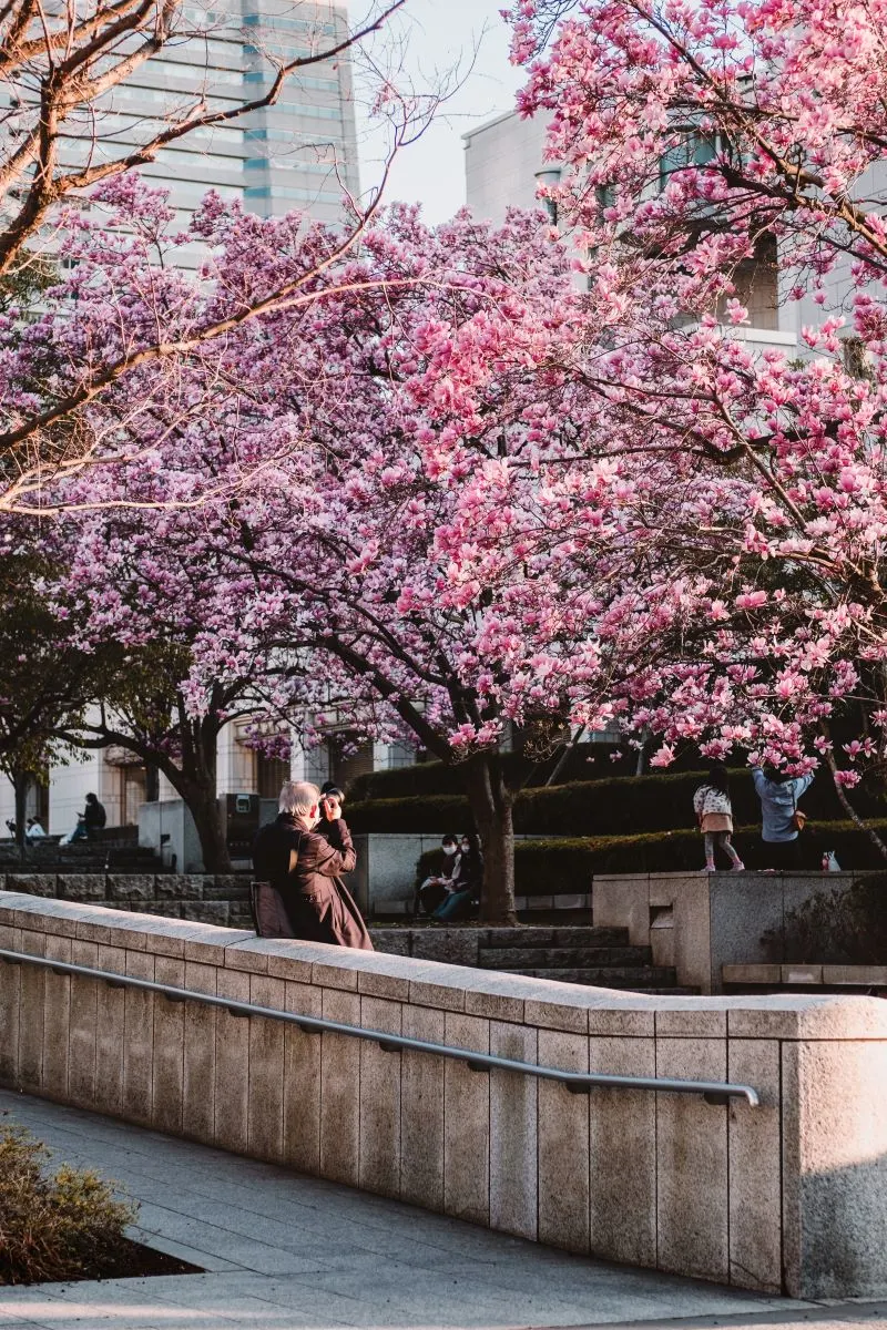 Kishamichi Promenade, Yokohama, Japan