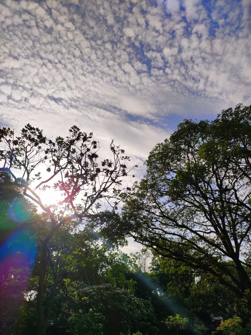 Lalbagh Botanical Garden Bangalore, India