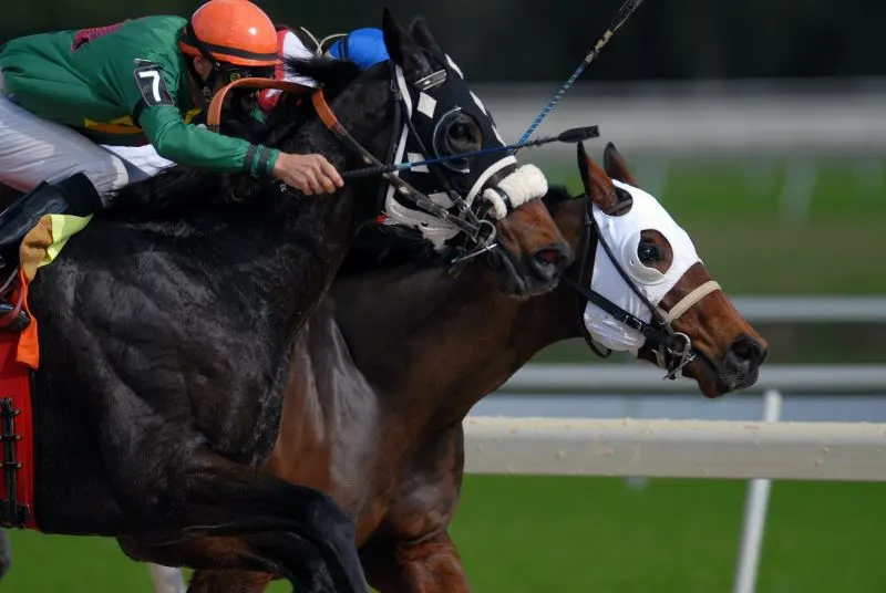 Macau Jockey Club, China