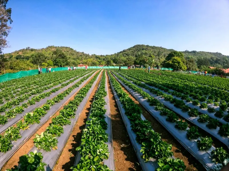Nandi Hills Bangalore, India