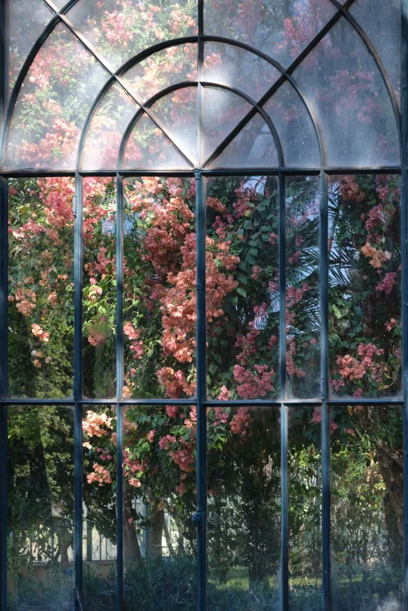 Orto Botanico Siena, Italy