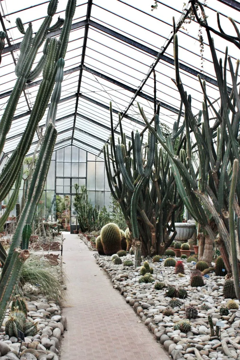 Orto Botanico di Parma, Italy