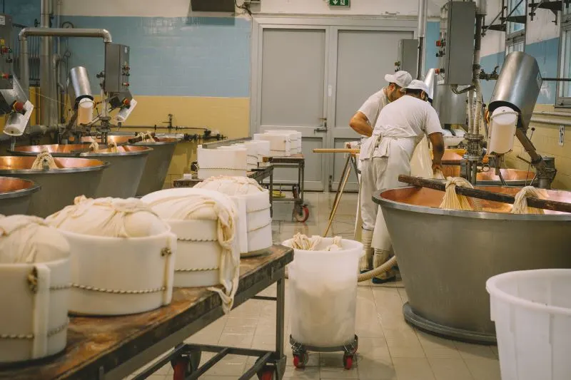 Parmigiano-Reggiano Parma, Italy