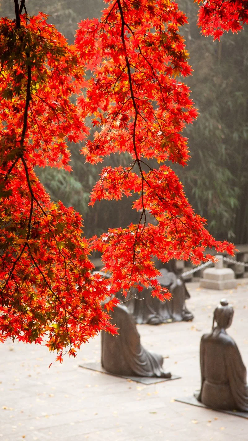Qingdao Sculpture Park, China