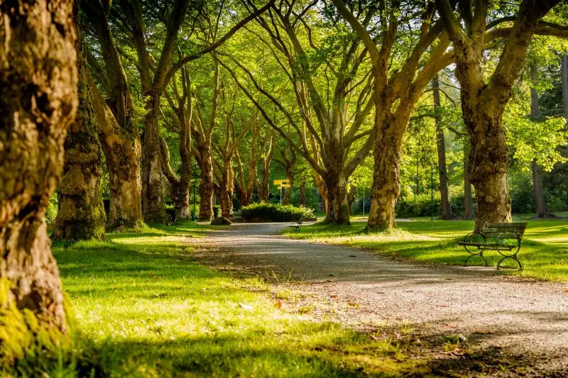Sutton Park Birmingham, England