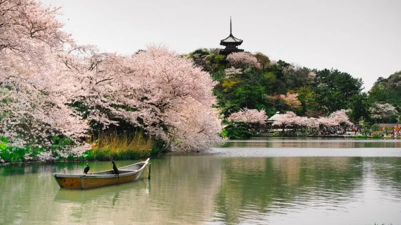 Yamashita Park Yokohama, Japan