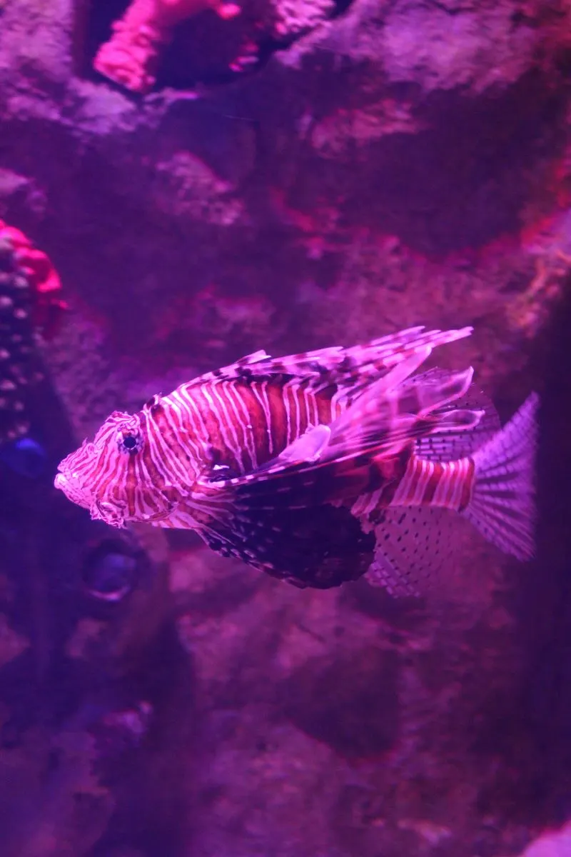 Antalya Aquarium, Turkey