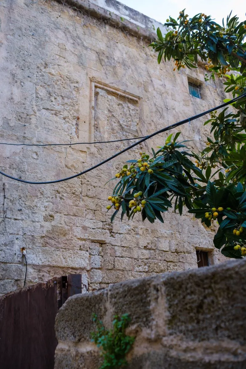 Archaeological Museum of Rhodes, Greece