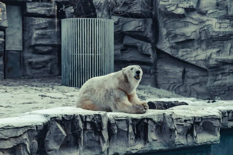 Beijing Zoo, China