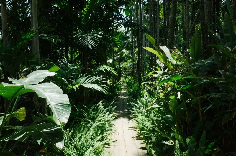 Botanical Gardens in Dar es Salaam, Tanzania,