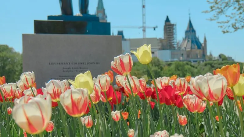 Canadian Tulip Festival, Ottawa