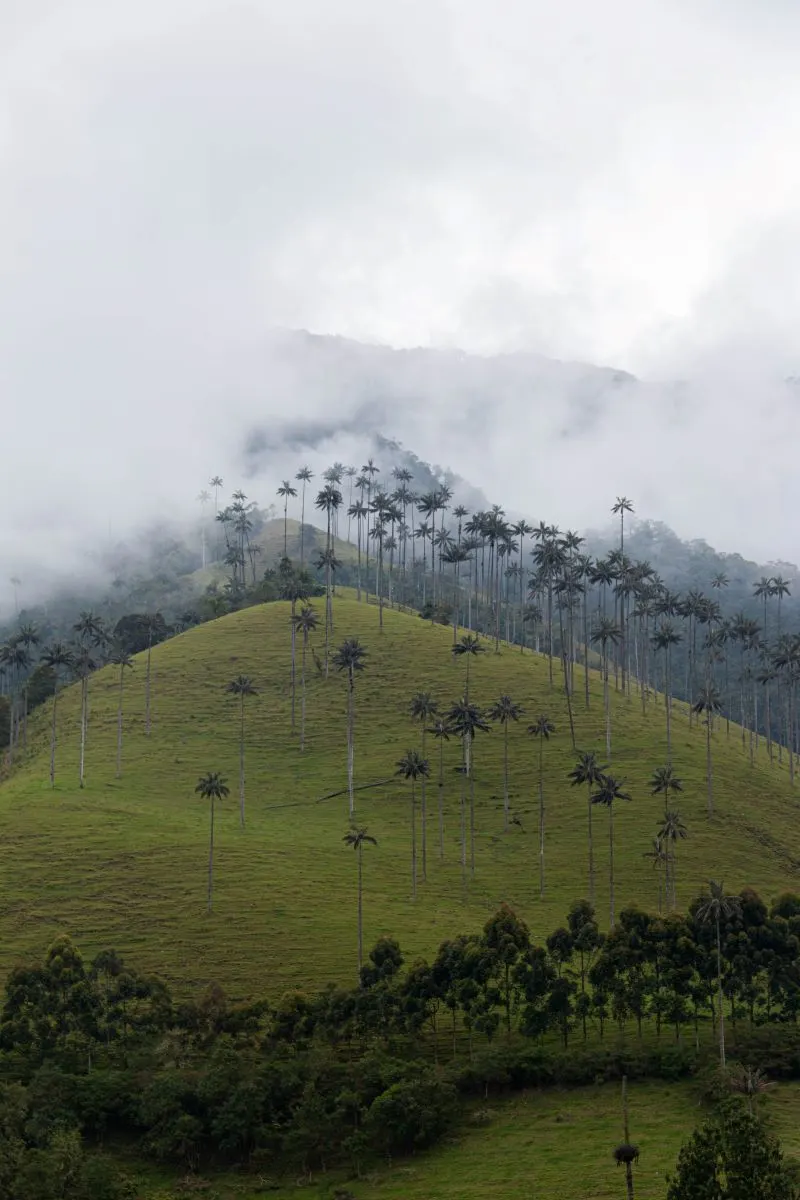 Jard&iacute;n Bot&aacute;nico de Cali, Colombia