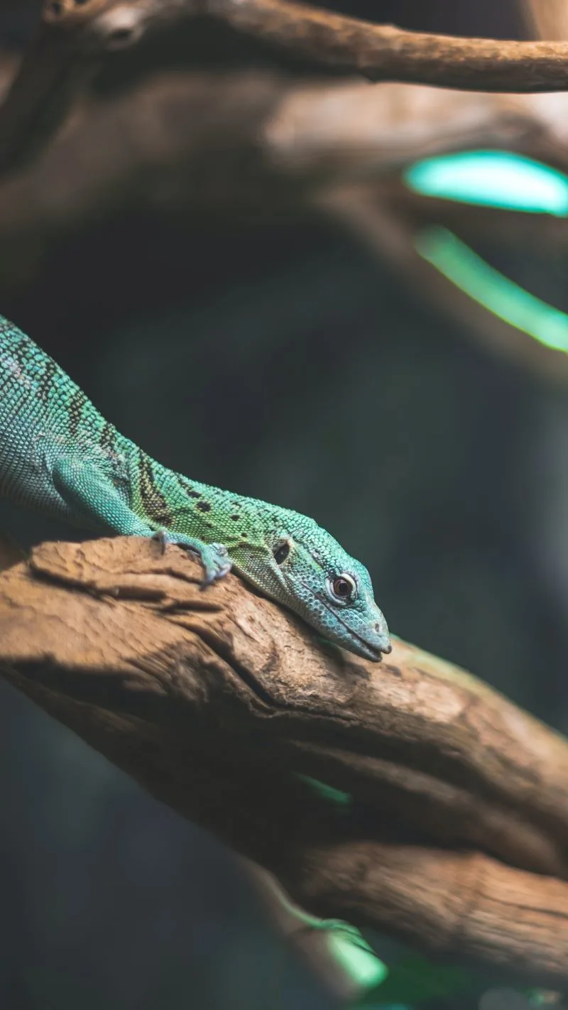 Karen Blixen Museum Nairobi, Kenya