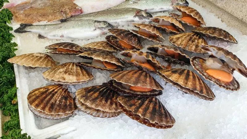 Kivukoni Fish Market Dar Es Salaam , Tanzania
