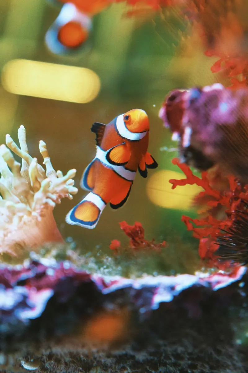 Kunming Aquatic Museum, China