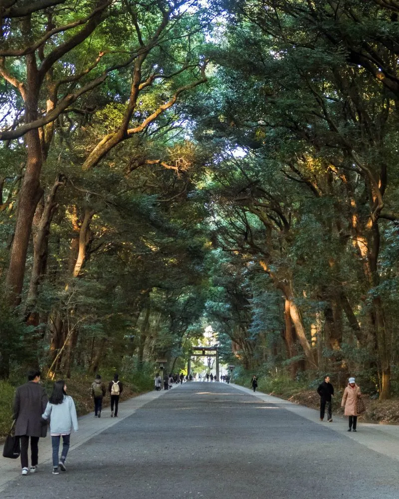 Meiji Shrine Tokyo, Japan
