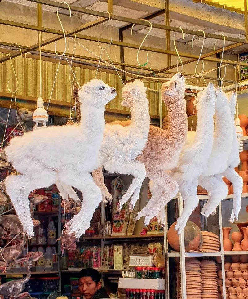 Mercado de las Brujas laPaz, Bolivia