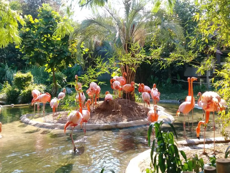 Museo La Tertulia Cali, Columbia