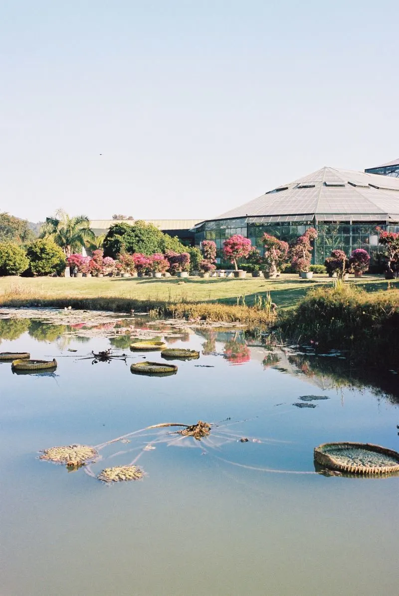 Nanning Green Expo Garden, China