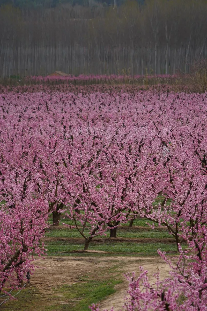 Parc de la Mitjana Lleida, Spain