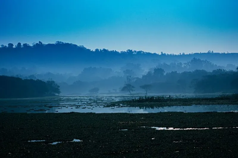 Pashan Lake Pune, India
