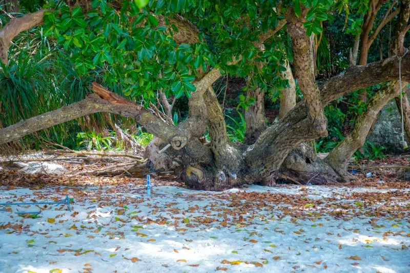 Rawa Island Perhentian Islands, Malaysia