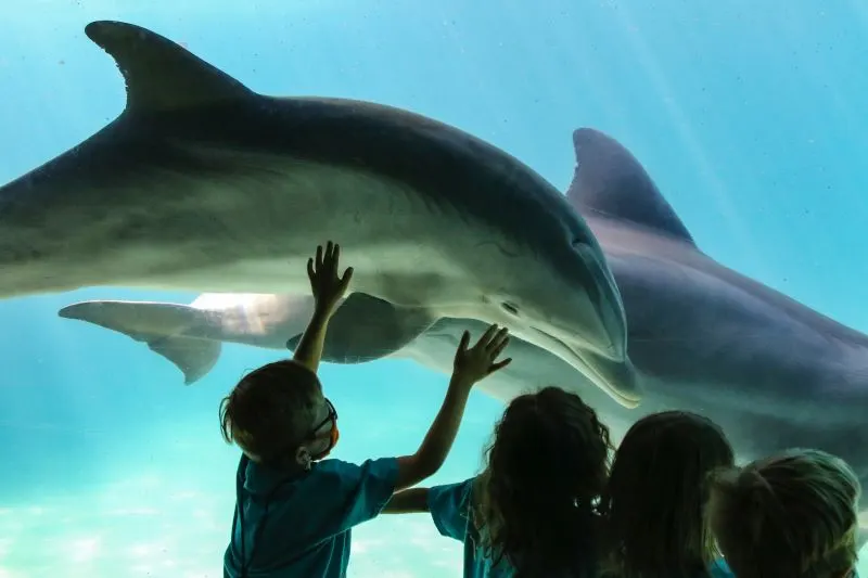 SeaWorld San Antonio, Texas