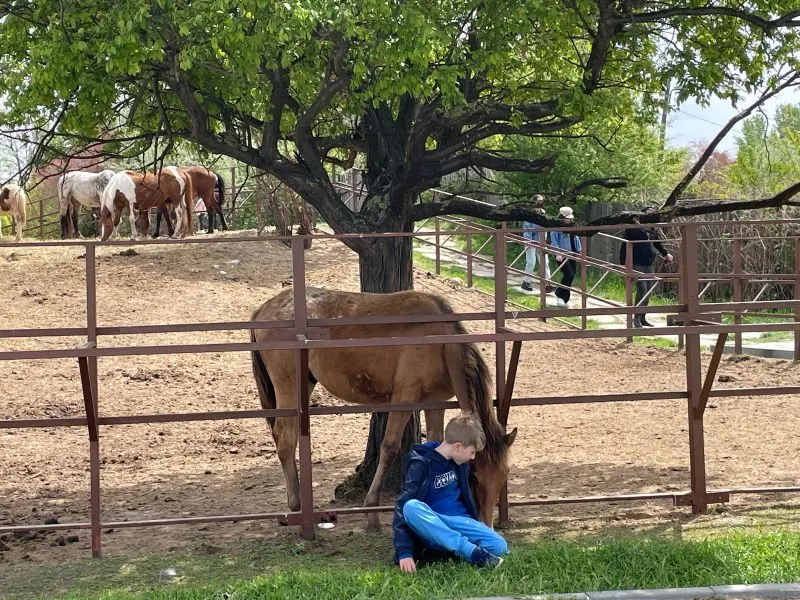 Tabacarie Park Constanta, Romania