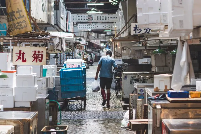 Tsukiji Fish Market, Tokyo, Japan