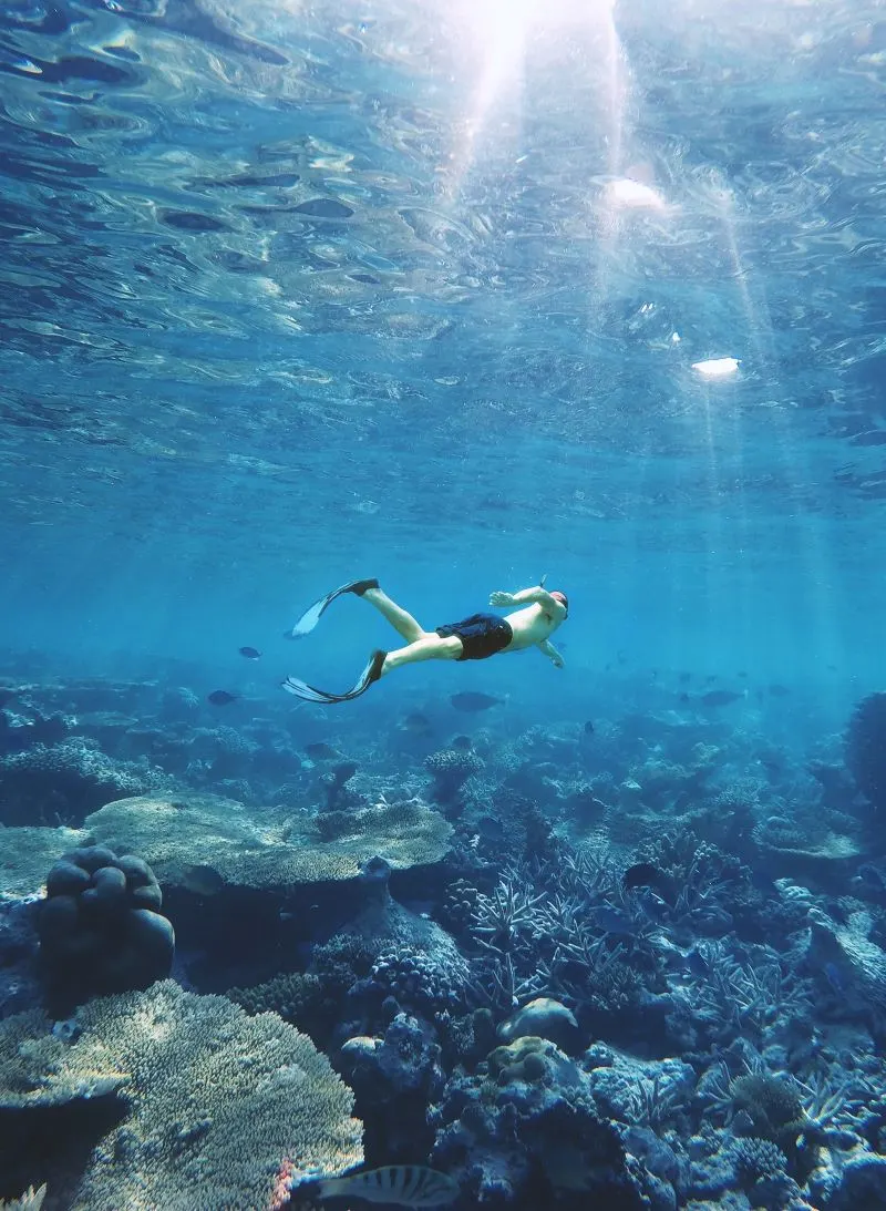 snorkeling, Rhodes, Greece