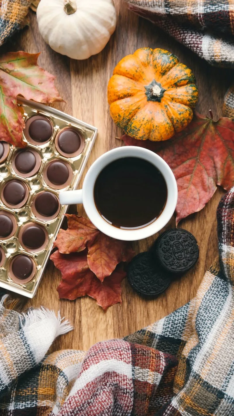 Bayonne Chocolate Festival, France