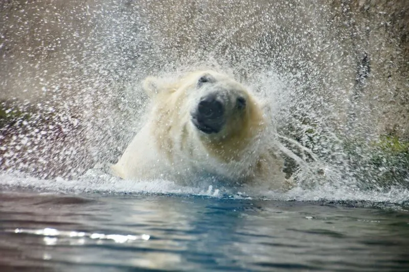 Blijdorp Zoo Rotterdam, Netherlands