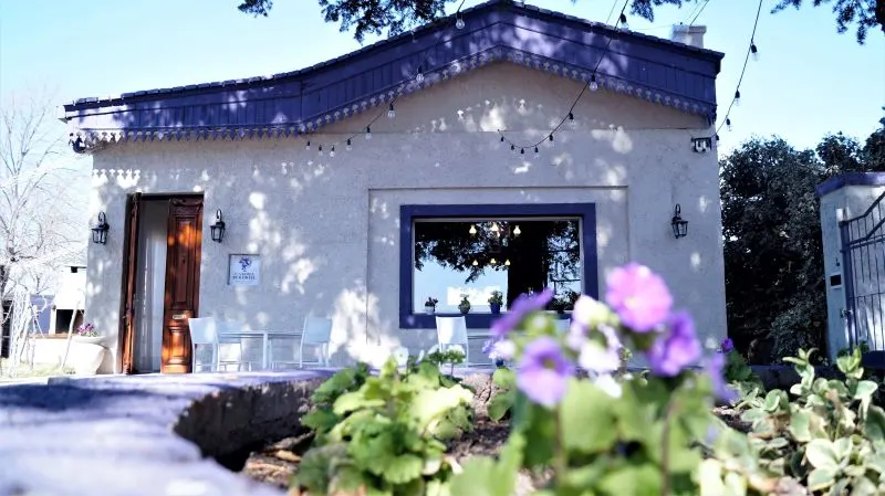 Bodegas Lopez Mendoza, Argentina