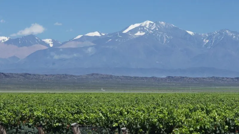 Cycle the Wine Roads Mendoza, Argentina