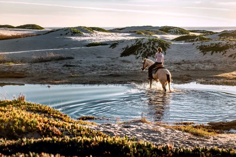 Horseback Riding Mendoza, Argentina
