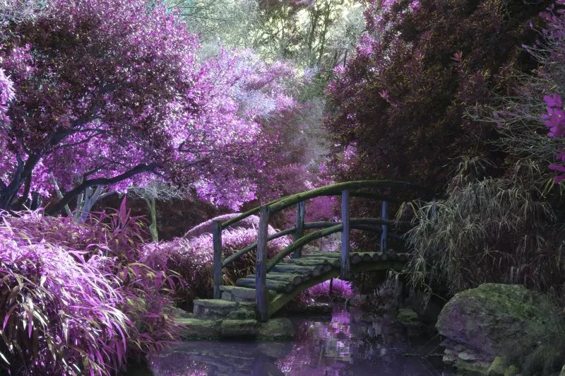 Kawachi Wisteria Garden Kitakyushu, Japan
