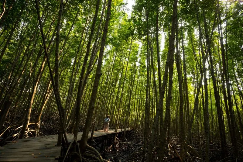 Khao Laem Ya - Mu Ko Samet National Park Rayong, Thailand