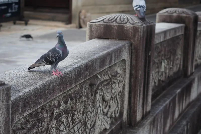 Kurashiki Okayama, Japan