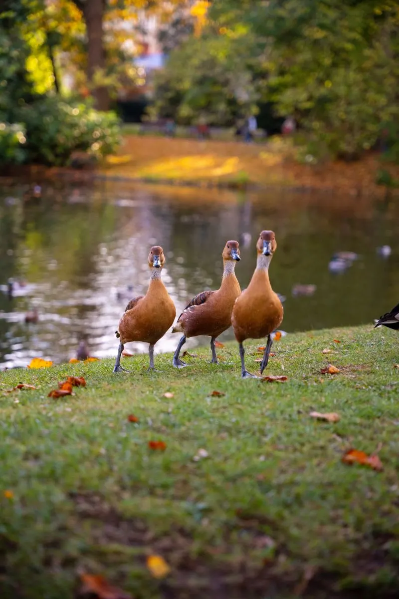 Le Jardin des Plantes, France