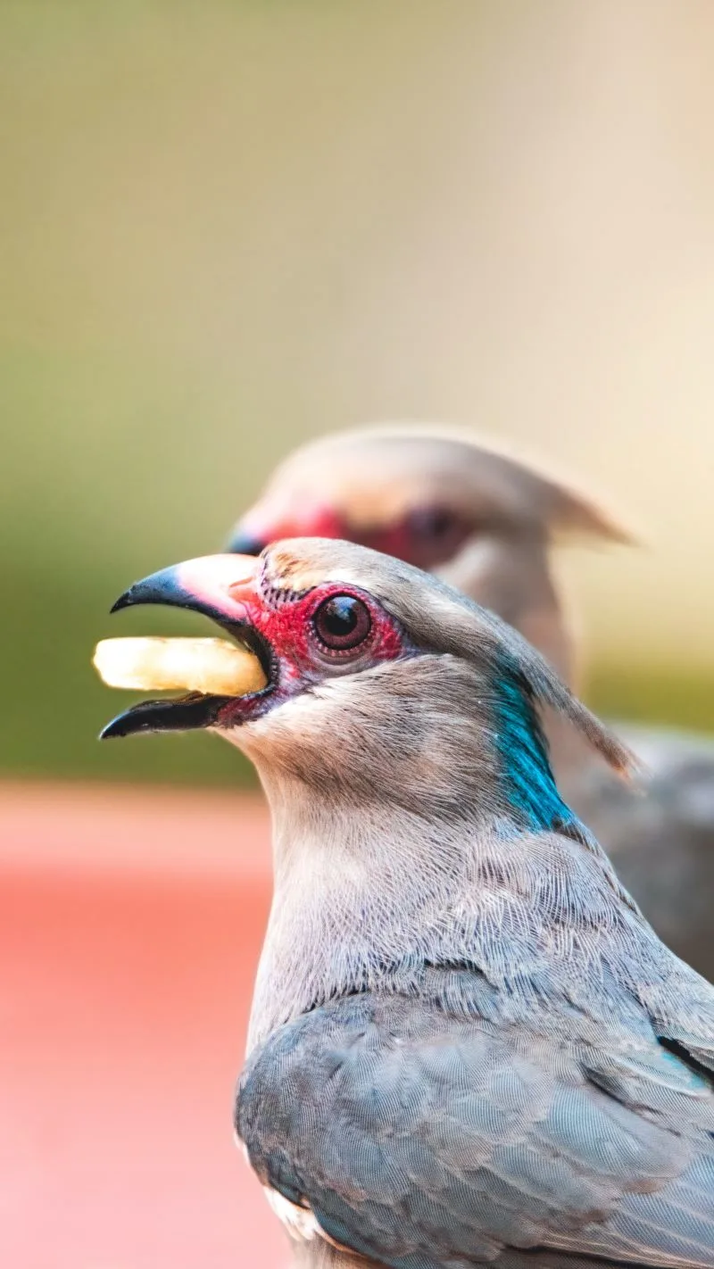 Munich Zoo, Germany