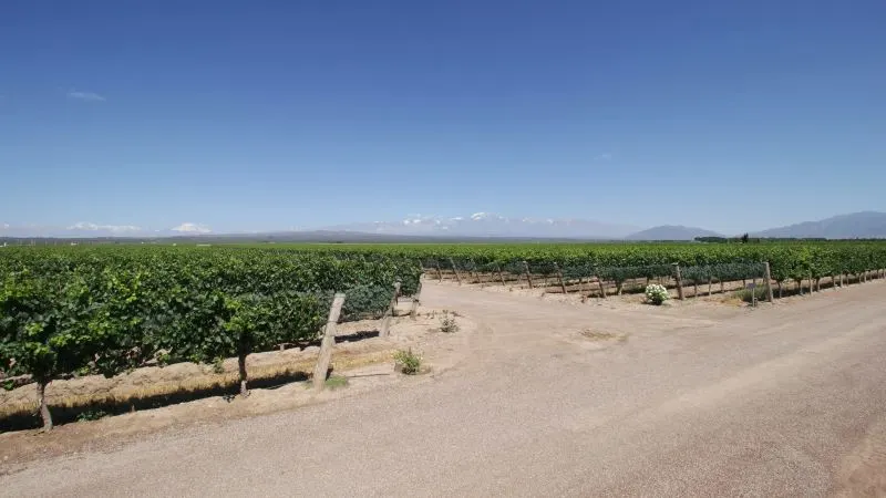 National Grape Harvest Festival Mendoza, Argentina