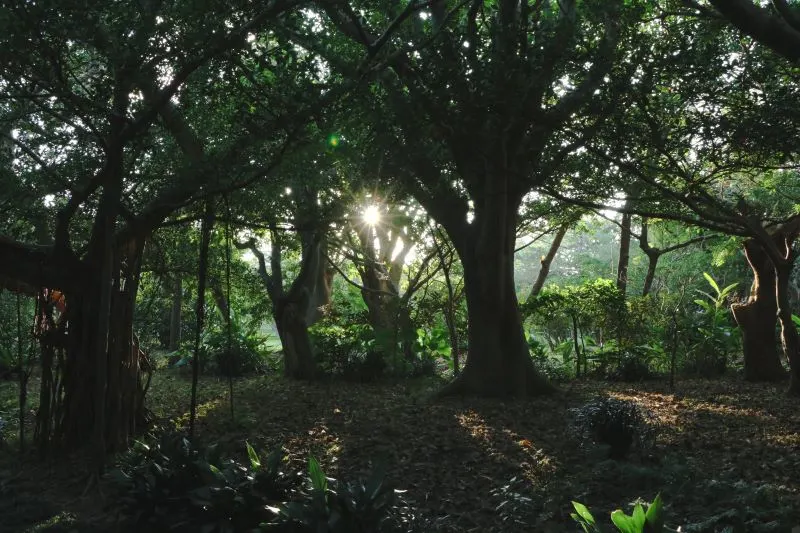 Okinawa Comprehensive Athletic Park, Japan