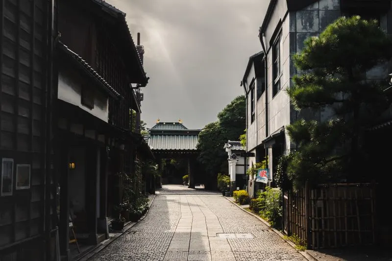 Omiya Bonsai Village Saitama, Japan