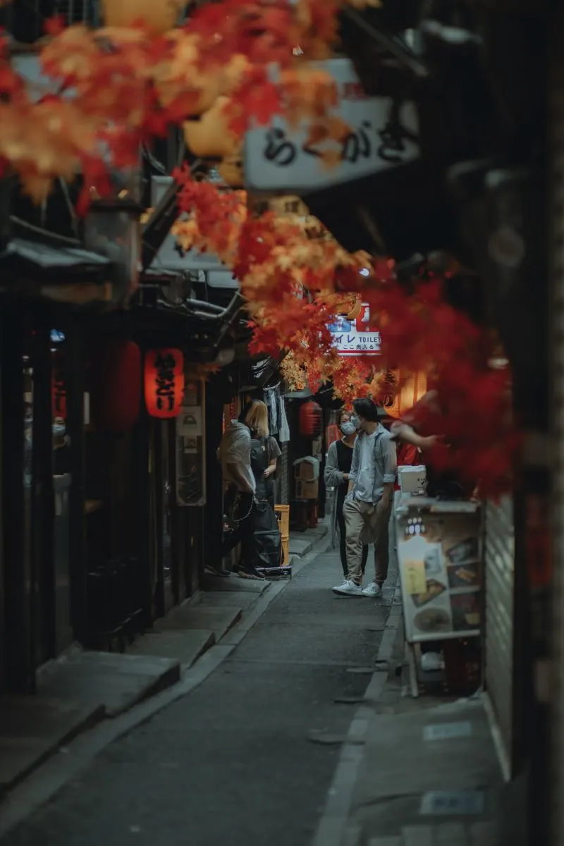 Omoide Yokocho Shinjuku, Japan