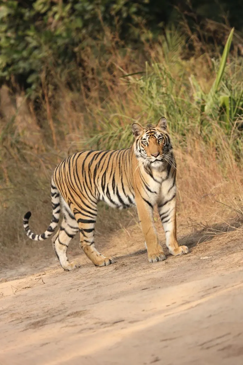 Ream National Park Sihanoukville, Cambodia